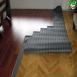 Laminant Parke
