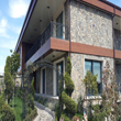 Yatay Kap Stor Sineklii